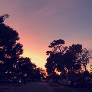 Meet your Posher, Cheyenne